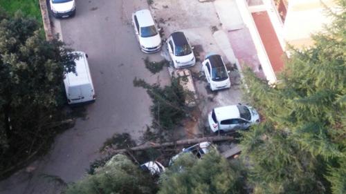 Tempête Zeus
