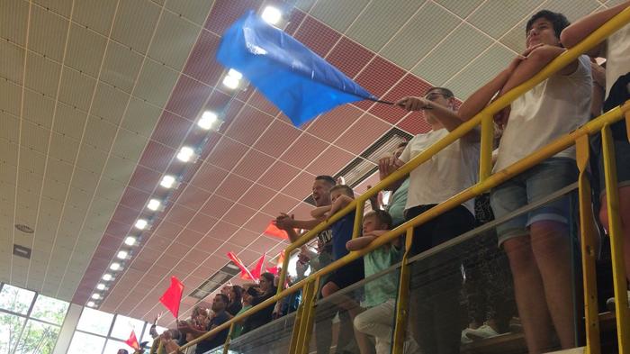 Handball