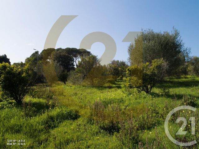 Afficher la photo en grand Appartement F2 à vendre - 2 pièces - 46.8 m2 - AJACCIO - 20 - CORSE - Century 21 Actif Immobilier