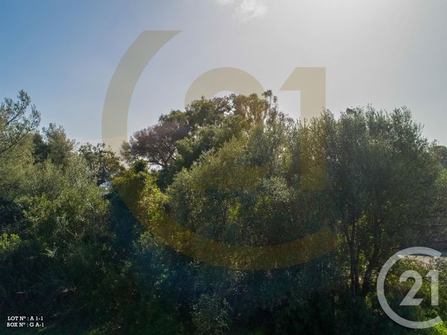 appartement - AJACCIO - 20