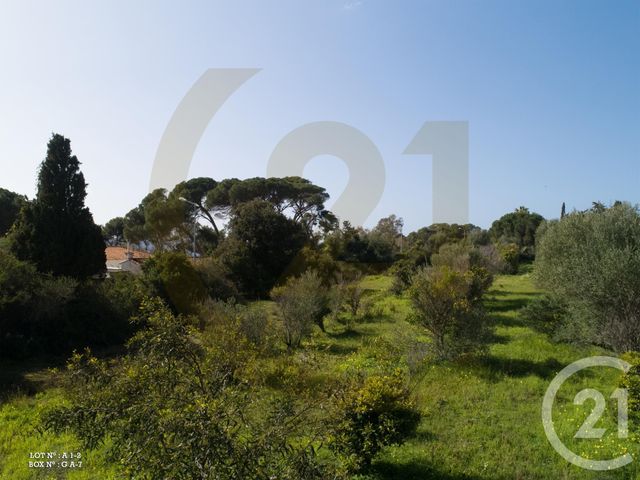 appartement - AJACCIO - 20