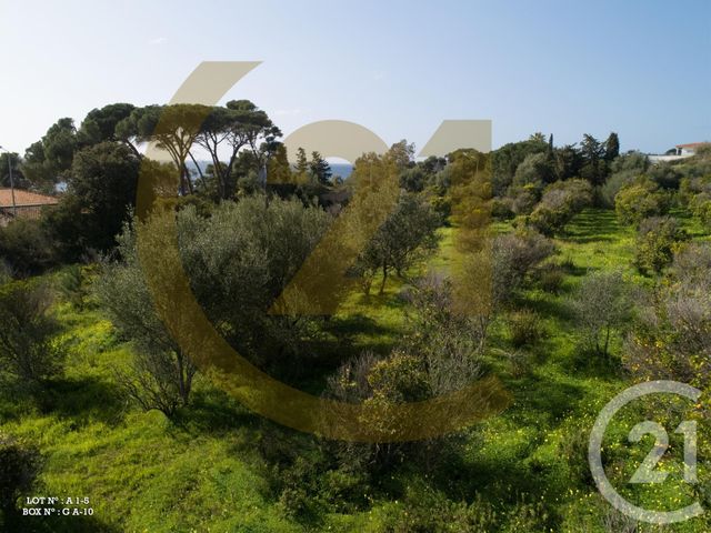 Appartement F3 à vendre - 3 pièces - 78.6 m2 - AJACCIO - 20 - CORSE - Century 21 Actif Immobilier