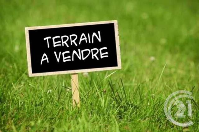 Terrain à vendre COGGIA