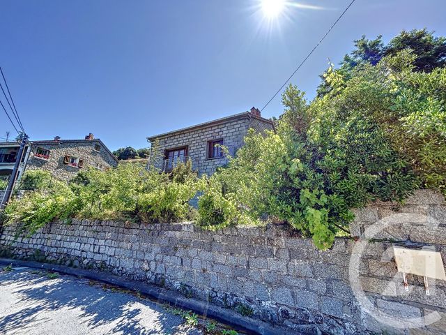 maison - OLIVESE - 20