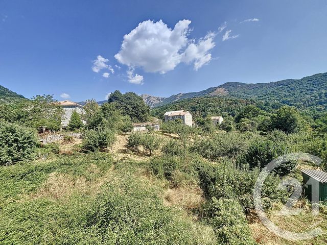 appartement à vendre - 3 pièces - 82.0 m2 - BASTELICA - 201 - CORSE - Century 21 Actif Immobilier