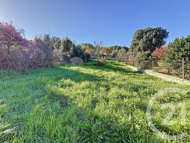 Afficher la photo en grand terrain à vendre - 556.0 m2 - PIANA - 201 - CORSE - Century 21 Actif Immobilier