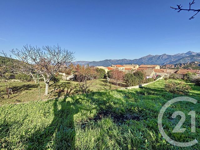 Afficher la photo en grand terrain à vendre - 556.0 m2 - PIANA - 201 - CORSE - Century 21 Actif Immobilier