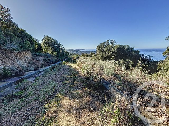 terrain à vendre - 1700.0 m2 - COTI CHIAVARI - 201 - CORSE - Century 21 Actif Immobilier