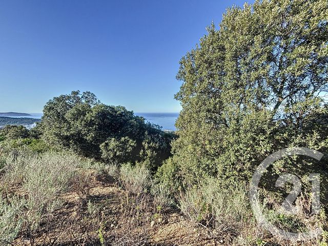 terrain à vendre - 1700.0 m2 - COTI CHIAVARI - 201 - CORSE - Century 21 Actif Immobilier