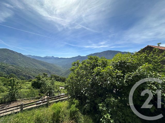 Appartement F2 à louer - 2 pièces - 42.0 m2 - LETIA - 201 - CORSE - Century 21 Actif Immobilier