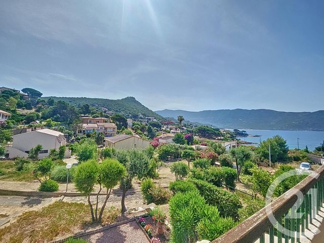 appartement - CASAGLIONE - 201