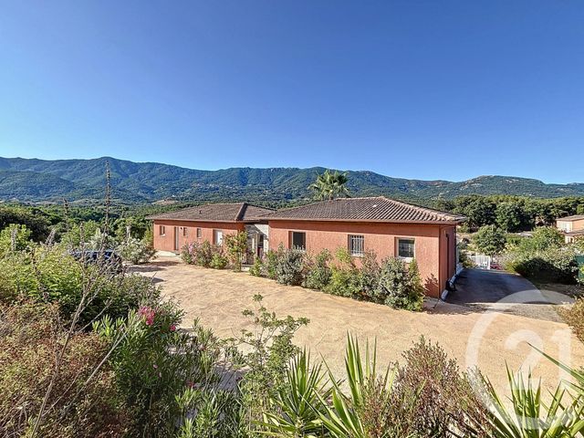 maison - CALCATOGGIO - 201