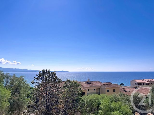 appartement - AJACCIO - 201