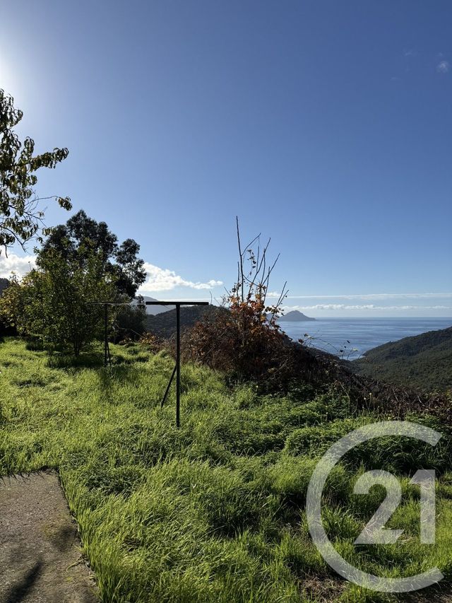 Appartement à vendre - 6 pièces - 130.0 m2 - AJACCIO - 201 - CORSE - Century 21 Actif Immobilier