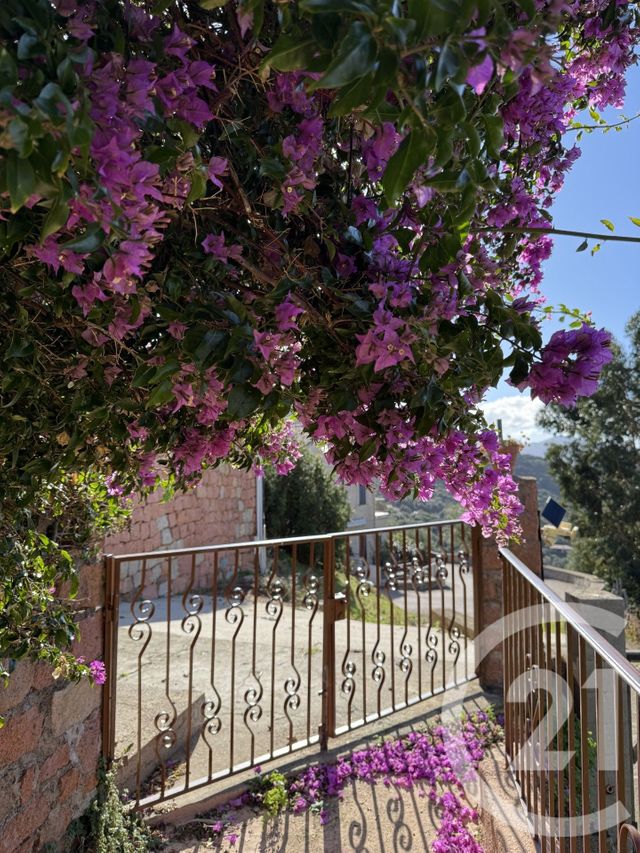 Appartement à vendre - 6 pièces - 130.0 m2 - AJACCIO - 201 - CORSE - Century 21 Actif Immobilier