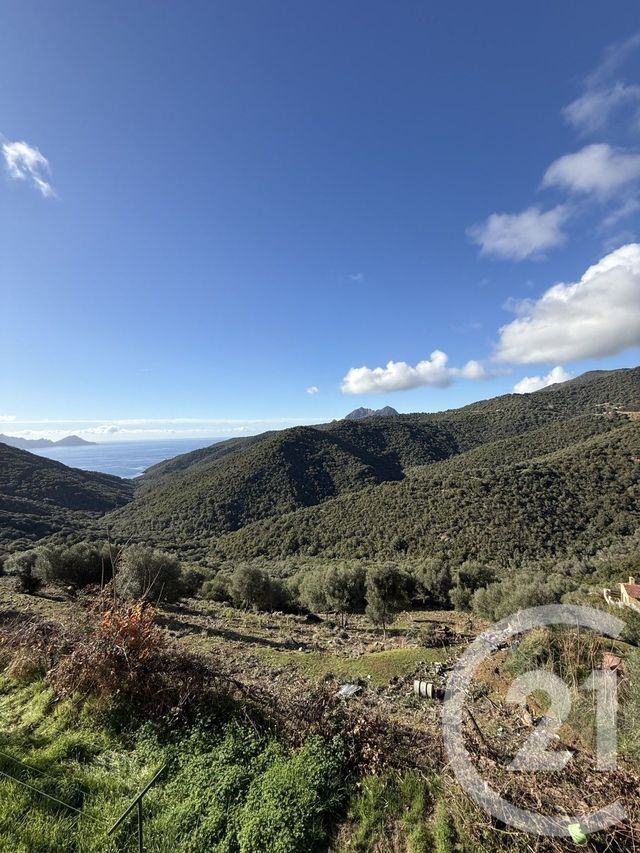 maison - PARTINELLO - 201