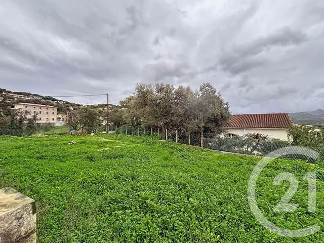 appartement - BASTELICACCIA - 201