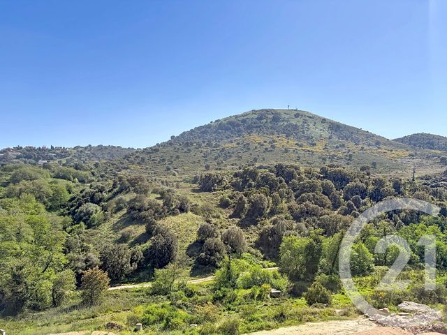 Appartement Studio à vendre - 1 pièce - 29.61 m2 - SARROLA CARCOPINO - 201 - CORSE - Century 21 Actif Immobilier