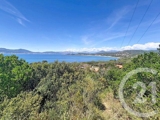 terrain à vendre - 3000.0 m2 - PIETROSELLA - 201 - CORSE - Century 21 Actif Immobilier