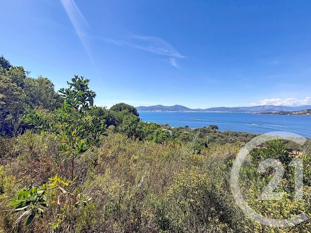 terrain à vendre - 3000.0 m2 - PIETROSELLA - 201 - CORSE - Century 21 Actif Immobilier