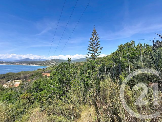terrain à vendre - 3000.0 m2 - PIETROSELLA - 201 - CORSE - Century 21 Actif Immobilier