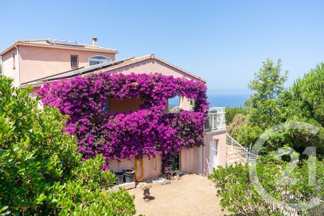 Maison à vendre COTI CHIAVARI