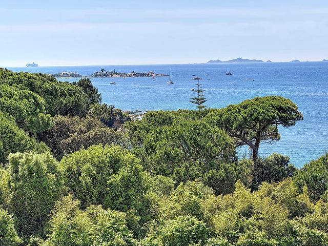 appartement - PIETROSELLA - 201