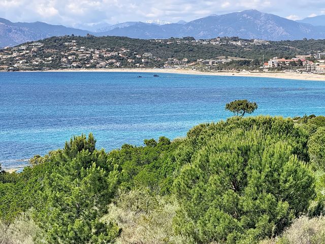 Appartement F4 à vendre - 4 pièces - 175.0 m2 - PIETROSELLA - 201 - CORSE - Century 21 Actif Immobilier